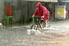 TP.HCM: Mưa lớn, triều cường, hiệu trưởng có thể cho học sinh học trực tuyến
