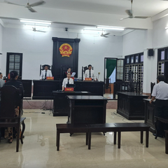 Podcast: Vụ 7 con tranh quyền nuôi mẹ, nguyên đơn, bị đơn phản ứng ra sao sau phán quyết?