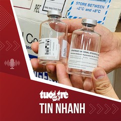 Tin tức tối 19-3: Thuốc hiếm giải độc giá 6.000-8.000 USD/lọ, cả nước chỉ còn vài lọ