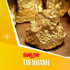 Tin tức sáng 10-12: Vận chuyển vàng trái phép qua biên giới có dấu hiệu gia tăng