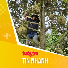 Tin tức sáng 8-7: Giá sầu riêng bật tăng lại, nông dân đua trồng mới
