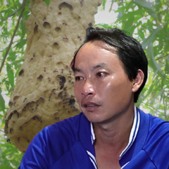 Mẹ tử vong khi che chắn cho con trước bầy ong vỡ tổ: Nỗi đau người ở lại và lời cảnh báo