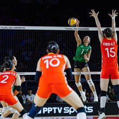 Vì sao bóng chuyền nữ Trung Quốc toàn người 'khổng lồ', đội trưởng cao đến 2,03m?