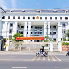 Bảo hiểm từ chối chi trả khi tàu cá bị sóng đánh chìm: Lập luận các bên và phán quyết của tòa
