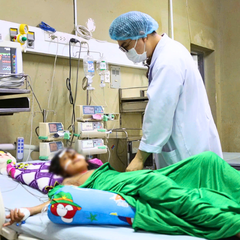 Chơi trốn tìm trong bụi cây, hai em nhỏ ở Cà Mau bị ong vò vẽ đốt hàng chục vết