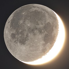 NASA công bố một số loài nấm, vi khuẩn Trái đất có thể sống sót trên Mặt trăng