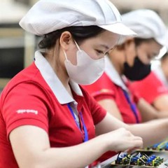 Người lao động doanh nghiệp có được nghỉ Tết 7 ngày, nghỉ Ngày Văn hóa Việt Nam 4 ngày?