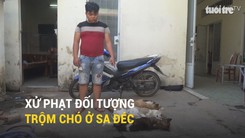 Xử phạt đối tượng trộm chó ở Sa Đéc