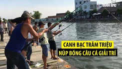 Những canh bạc trăm triệu núp bóng câu cá giải trí