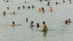 Sứa lửa tấn công người tắm biển lúc sáng sớm