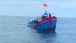 Cứu 8 người trên tàu cá bị chìm ở Quảng Ngãi