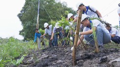 Làm kè sinh thái từ nguyên liệu tro bay