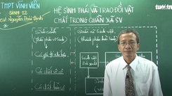 Video: Ôn Tập Online Lớp 12 | Ôn tập về 'Hệ sinh thái và trao đổi chất trong quần xã'