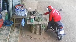 Video: Thanh niên trộm 7 trái sầu riêng và xe đạp trẻ em giữa mùa dịch