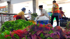 Góc nhìn trưa nay | Chợ “dã chiến” góp phần cho mọi người yên tâm ở nhà