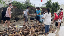 Video: 4.000 con gà chết ngộp vì mưa lũ, không còn sót lại con nào trong trại, cả làng chung tay giúp đỡ