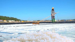 Góc nhìn trưa nay | Xây dựng thương hiệu muối Sa Huỳnh