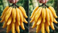 28 loại trái cây kỳ lạ nhất thế giới thì có tới 15 loại có mặt tại Việt Nam