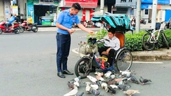 Ngồi xe lăn bán vé số, nhín tiền nuôi đàn bồ câu ở công viên Lê Văn Tám