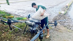 Drone nông nghiệp: Tiện lợi nhưng cần cẩn trọng với 'cánh quạt quay vù vù'