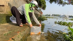 Ngăn xuyệt điện cho người dân an tâm thả cá ngày ông Công ông Táo