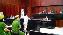Bà Nguyễn Phương Hằng: 'Bị cáo có một nỗi buồn thực sự'