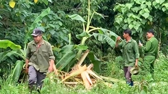 Điều tra vụ người đàn ông hái măng chết ở bìa rừng, bên cạnh có dấu chân voi