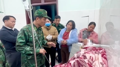 Người đàn ông đi thăm rẫy trên đường về bị gấu tấn công, phải nhập viện cấp cứu