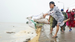 Sạt lở chưa từng thấy ở cửa biển Đà Nẵng, hàng ngàn người đang vác cát đắp bờ kè
