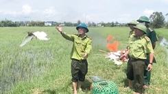Thu gom tiêu hủy hàng ngàn bẫy chim, nhiều con cò trắng được thả về tự nhiên