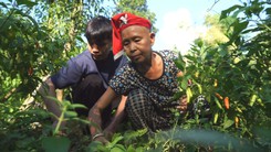 Tiếp sức đến trường: Những ước mơ đến giảng đường rực sáng giữa triền núi sương giăng