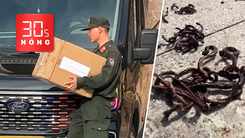 Bản tin 30s Nóng: Diễn biến mới vụ thẩm mỹ viện Mailisa; Kỳ lạ giun đất bò lên vỉa hè chết hàng loạt