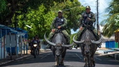 Độc lạ cảnh sát cưỡi trâu đi tuần ở Brazil