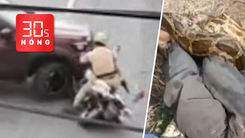 Bản tin 30s nóng: Truy tìm tài xế ô tô tông ngã xe cảnh sát; Cứu người bị trăn 3,6m quấn chặt