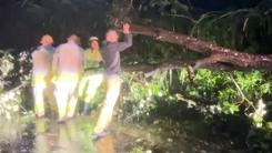 Nhà tốc mái, cây xanh, trụ điện ngã đổ ngổn ngang khi bão số 13 đổ bộ