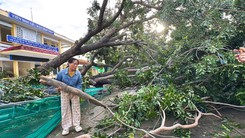 Bão số 13 gây thiệt hại nặng ở Đắk Lắk: 2 người chết, nhiều nhà sập và 54.000 lồng bè thủy sản hư hỏng