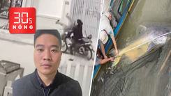 Bản tin 30s nóng: Tạm giữ 1 nghi can vụ đánh người sau tông xe; Thả cá 100kg về Biển Hồ