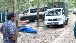 Điều tra vụ nam bảo vệ tử vong khi canh gác trong lô cao su ở Đồng Nai