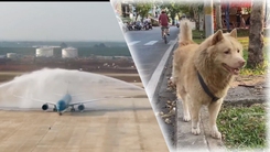 Góc nhìn trưa nay: Chuyến bay thử nghiệm đầu tiên hạ cánh an toàn tại sân bay Long Thành; Siết chặt quản lý vật nuôi