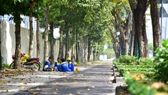 Sắp có tuyến đường dành riêng xe đạp đầu tiên tại TP.HCM