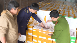 Phát hiện xe đầu kéo chở 7 tấn cá khoai có formol, tài xế khai hàng nhập từ Trung Quốc