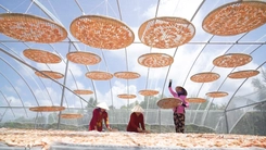 Làng nghề tôm khô Cà Mau rộn ràng vào vụ Tết