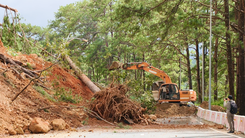 Đèo Prenn sạt lở, đất đá và nhiều cây thông ngổn ngang lấp toàn bộ mặt đường