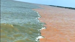 'Nước biển 2 màu' kéo dài hàng chục cây số ở Cà Mau gây sốt mạng xã hội