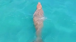 Video dugong bơi ven bờ biển ở Côn Đảo