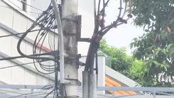 Nam công nhân bị điện giật khi làm việc trên trụ điện ở TP.HCM