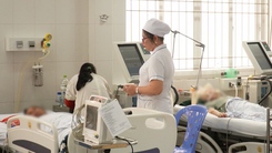 Bốn người ở Cà Mau nhập viện cấp cứu do ăn cá nóc, 2 người nguy kịch
