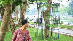 Nhiều cây xanh ở công viên Thống Nhất của Hà Nội phải mang 'gông cùm'