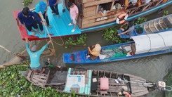 Góc nhìn trưa nay | Về Đồng Tháp dỡ chà bắt cá