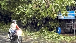 Mưa lớn kèm dông lốc làm cây cối ngã đổ, tốc mái nhà dân ở Đồng Nai